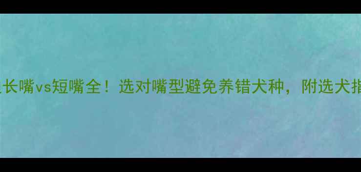 图片 泰迪长嘴vs短嘴全！选对嘴型避免养错犬种，附选犬指南1