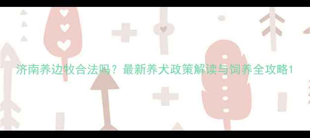 图片 济南养边牧合法吗？最新养犬政策解读与饲养全攻略1