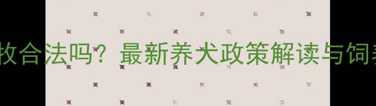图片 济南养边牧合法吗？最新养犬政策解读与饲养全攻略2