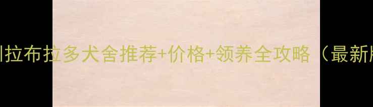 图片 深圳拉布拉多犬舍推荐+价格+领养全攻略（最新版）