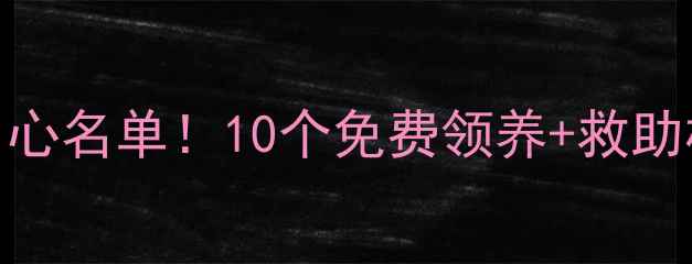 图片 深圳最新宠物领养中心名单！10个免费领养+救助机构地址+领养攻略1
