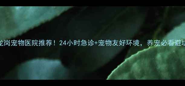 图片 深圳龙岗宠物医院推荐！24小时急诊+宠物友好环境，养宠必看避坑指南