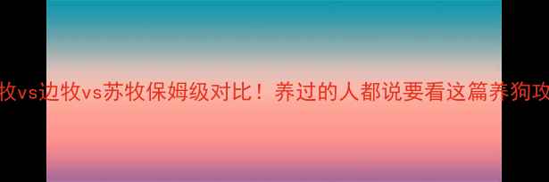 图片 澳牧vs边牧vs苏牧保姆级对比！养过的人都说要看这篇养狗攻略