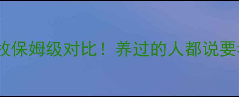 图片 澳牧vs边牧vs苏牧保姆级对比！养过的人都说要看这篇养狗攻略2