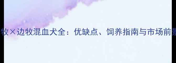 图片 澳牧×边牧混血犬全：优缺点、饲养指南与市场前景1