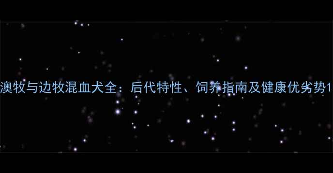 图片 澳牧与边牧混血犬全：后代特性、饲养指南及健康优劣势1