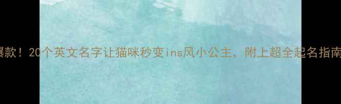 图片 爆款！20个英文名字让猫咪秒变ins风小公主，附上超全起名指南2