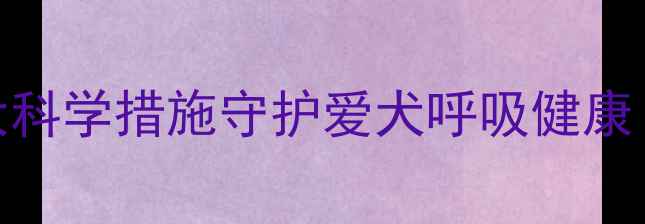 图片 犬肺炎预防全攻略：5大科学措施守护爱犬呼吸健康（附疫苗与护理指南）2