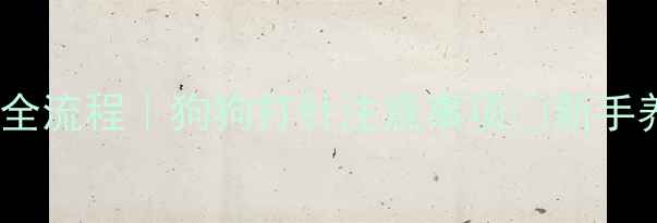 图片 狂犬疫苗全流程｜狗狗打针注意事项💉新手养宠必看2