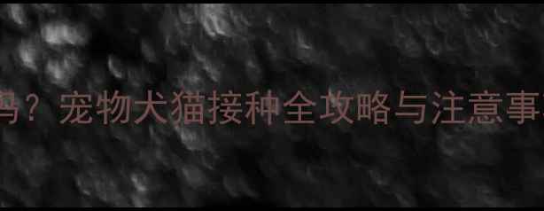 图片 狂犬疫苗打一针就够了吗？宠物犬猫接种全攻略与注意事项（附疫苗类型对比）2