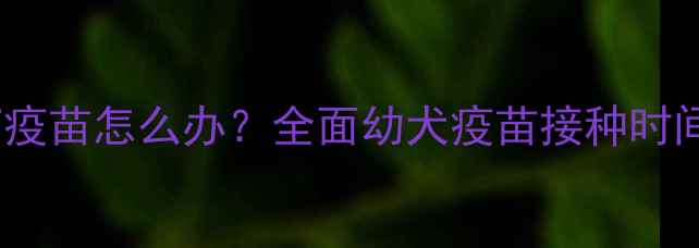 图片 狗狗4个月没打疫苗怎么办？全面幼犬疫苗接种时间表及补救措施
