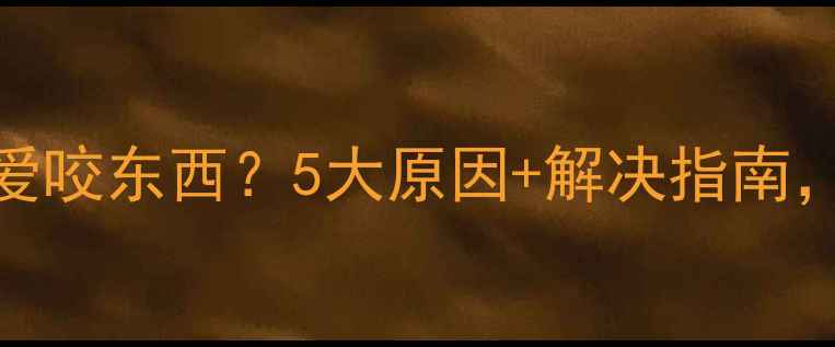 图片 狗狗为什么总爱咬东西？5大原因+解决指南，养宠人必看！