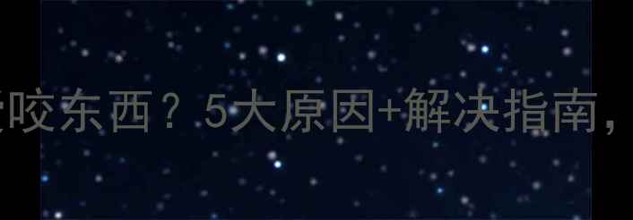 图片 狗狗为什么总爱咬东西？5大原因+解决指南，养宠人必看！2