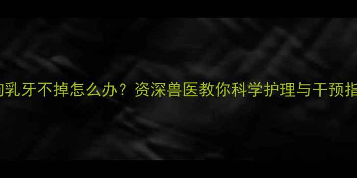 图片 狗狗乳牙不掉怎么办？资深兽医教你科学护理与干预指南1