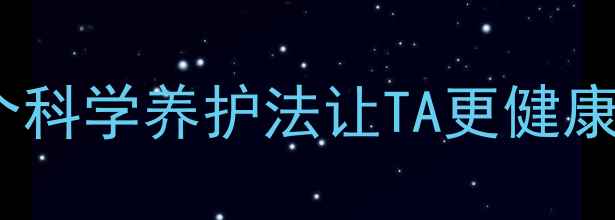 图片 狗狗互动新姿势！5个科学养护法让TA更健康（附超全训练指南）