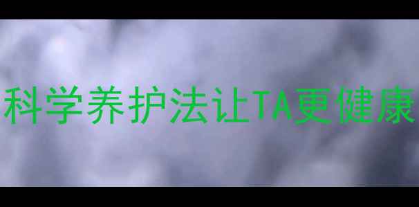 图片 狗狗互动新姿势！5个科学养护法让TA更健康（附超全训练指南）1