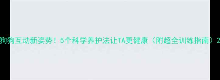 图片 狗狗互动新姿势！5个科学养护法让TA更健康（附超全训练指南）2