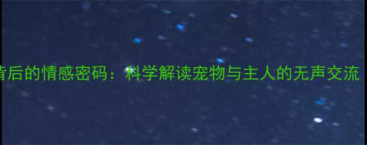 图片 狗狗低头行为背后的情感密码：科学解读宠物与主人的无声交流（附训练指南）
