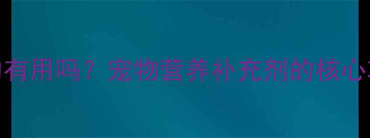图片 狗狗元气蛋真的有用吗？宠物营养补充剂的核心功效与使用指南