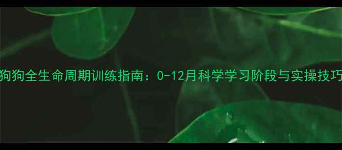 图片 狗狗全生命周期训练指南：0-12月科学学习阶段与实操技巧