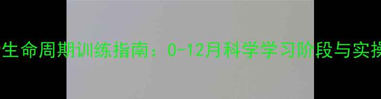 图片 狗狗全生命周期训练指南：0-12月科学学习阶段与实操技巧1
