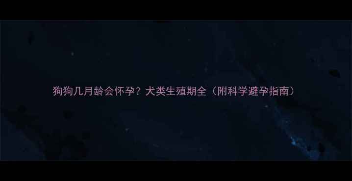 图片 狗狗几月龄会怀孕？犬类生殖期全（附科学避孕指南）