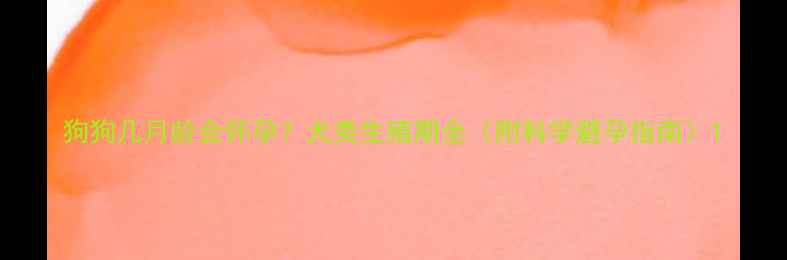 图片 狗狗几月龄会怀孕？犬类生殖期全（附科学避孕指南）1