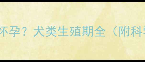 图片 狗狗几月龄会怀孕？犬类生殖期全（附科学避孕指南）2