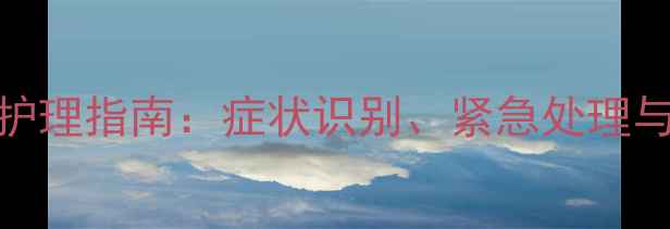 图片 狗狗厌食症家庭护理指南：症状识别、紧急处理与长期调理全攻略