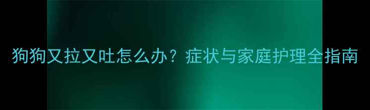 图片 狗狗又拉又吐怎么办？症状与家庭护理全指南