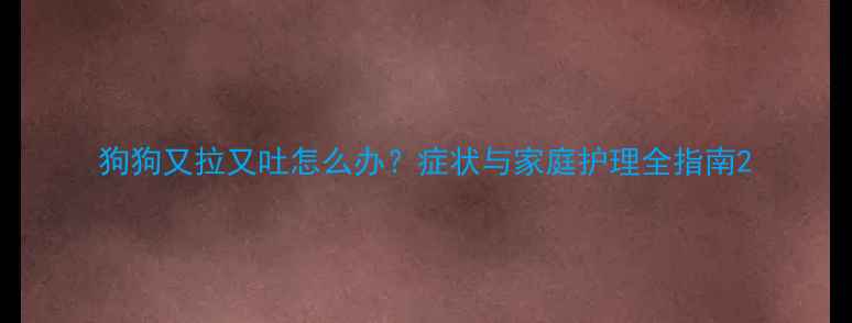 图片 狗狗又拉又吐怎么办？症状与家庭护理全指南2
