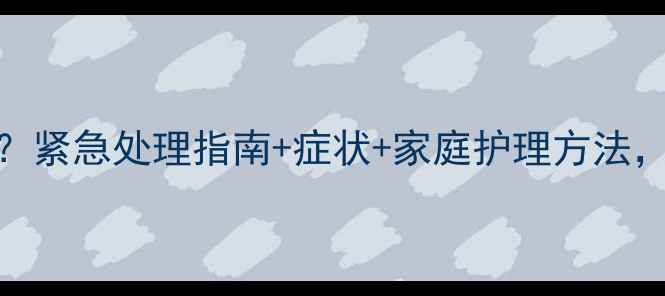 图片 狗狗呕吐怎么办？紧急处理指南+症状+家庭护理方法，养宠必备知识！