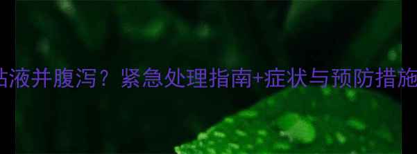 图片 狗狗呕吐黄绿色粘液并腹泻？紧急处理指南+症状与预防措施（附兽医建议）1