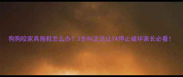 图片 狗狗咬家具拖鞋怎么办？3步纠正法让TA停止破坏家长必看！