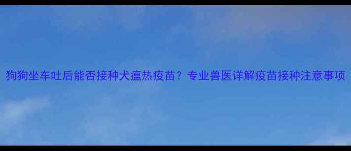 图片 狗狗坐车吐后能否接种犬瘟热疫苗？专业兽医详解疫苗接种注意事项