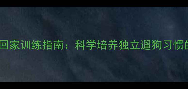 图片 狗狗外出主动回家训练指南：科学培养独立遛狗习惯的5个关键步骤