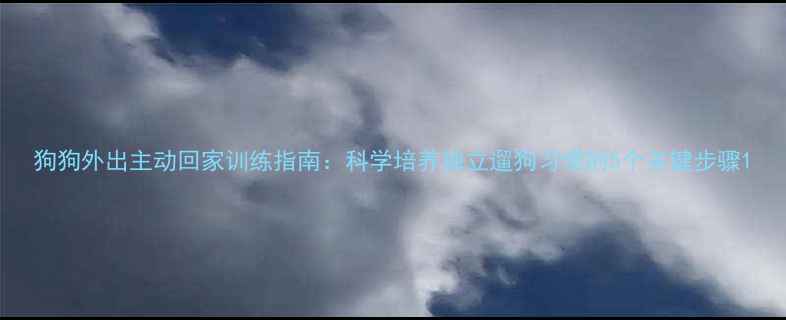 图片 狗狗外出主动回家训练指南：科学培养独立遛狗习惯的5个关键步骤1