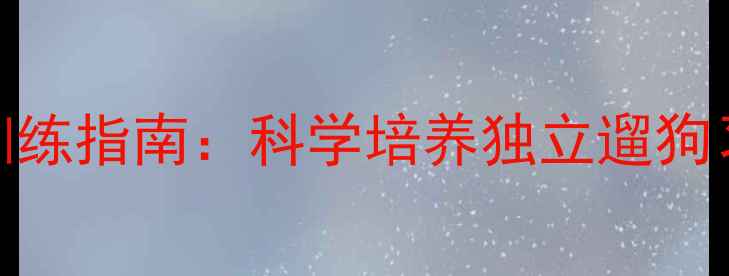 图片 狗狗外出主动回家训练指南：科学培养独立遛狗习惯的5个关键步骤2