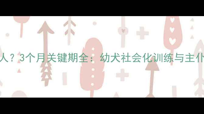 图片 狗狗多大开始认主人？3个月关键期全：幼犬社会化训练与主仆情感建立科学指南