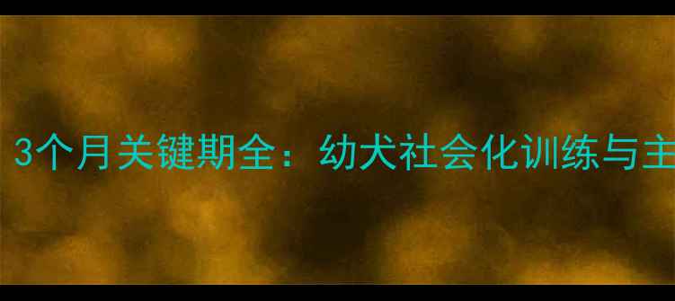 图片 狗狗多大开始认主人？3个月关键期全：幼犬社会化训练与主仆情感建立科学指南1