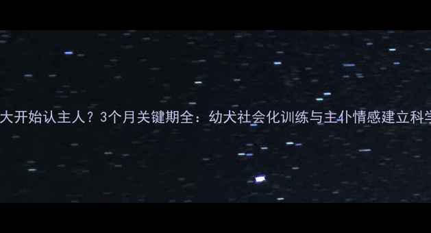 图片 狗狗多大开始认主人？3个月关键期全：幼犬社会化训练与主仆情感建立科学指南2