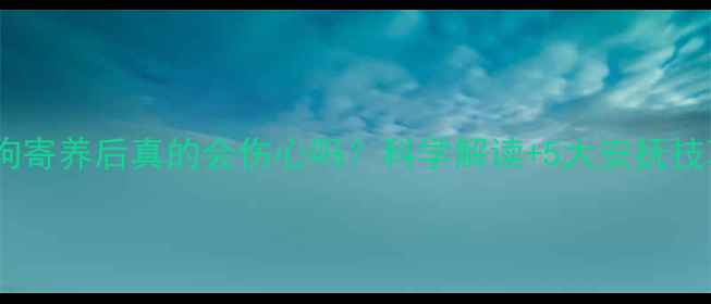 图片 狗狗寄养后真的会伤心吗？科学解读+5大安抚技巧2