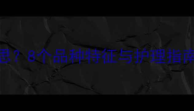 图片 狗狗尾巴有白毛是什么意思？8个品种特征与护理指南（附健康隐患自查清单）