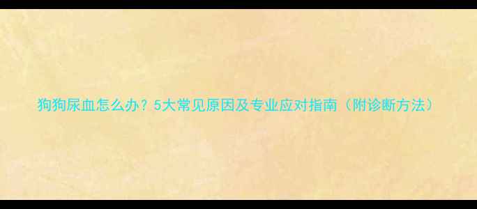 图片 狗狗尿血怎么办？5大常见原因及专业应对指南（附诊断方法）