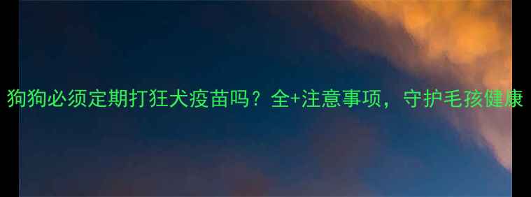 图片 狗狗必须定期打狂犬疫苗吗？全+注意事项，守护毛孩健康