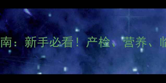 图片 狗狗怀孕全流程科学护理指南：新手必看！产检、营养、临产准备及产后调养全攻略2