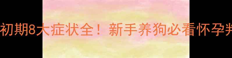 图片 狗狗怀孕初期8大症状全！新手养狗必看怀孕判断指南2