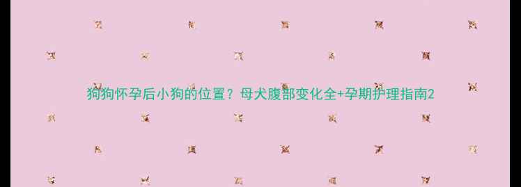 图片 狗狗怀孕后小狗的位置？母犬腹部变化全+孕期护理指南2