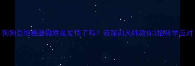 图片 狗狗总抱着腿撒娇是发情了吗？资深训犬师教你3招科学应对