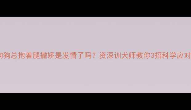 图片 狗狗总抱着腿撒娇是发情了吗？资深训犬师教你3招科学应对2